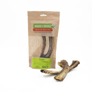 עצם צלע בקר