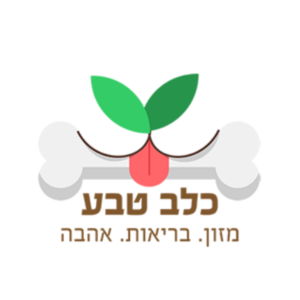 עיצוב ללא שם (42)